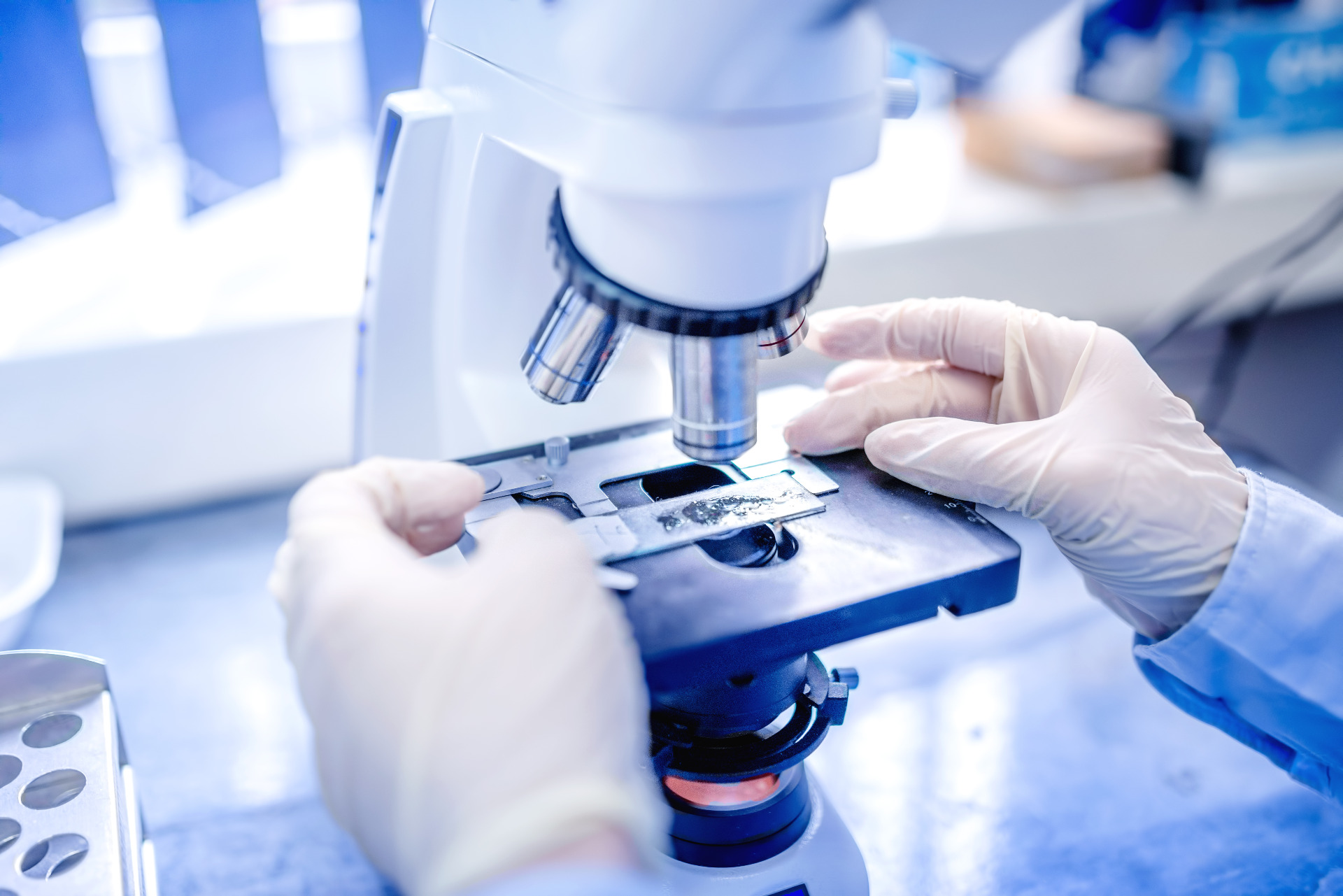 scientist-hands-with-microscope-examining-samples--p8lbzp4.jpg